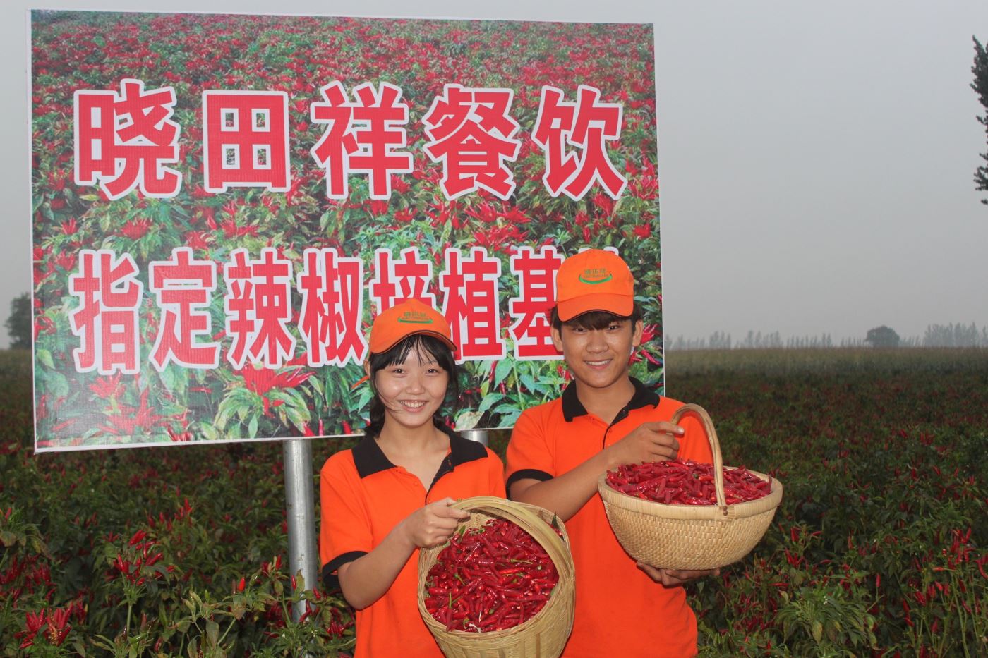 建设食材基地